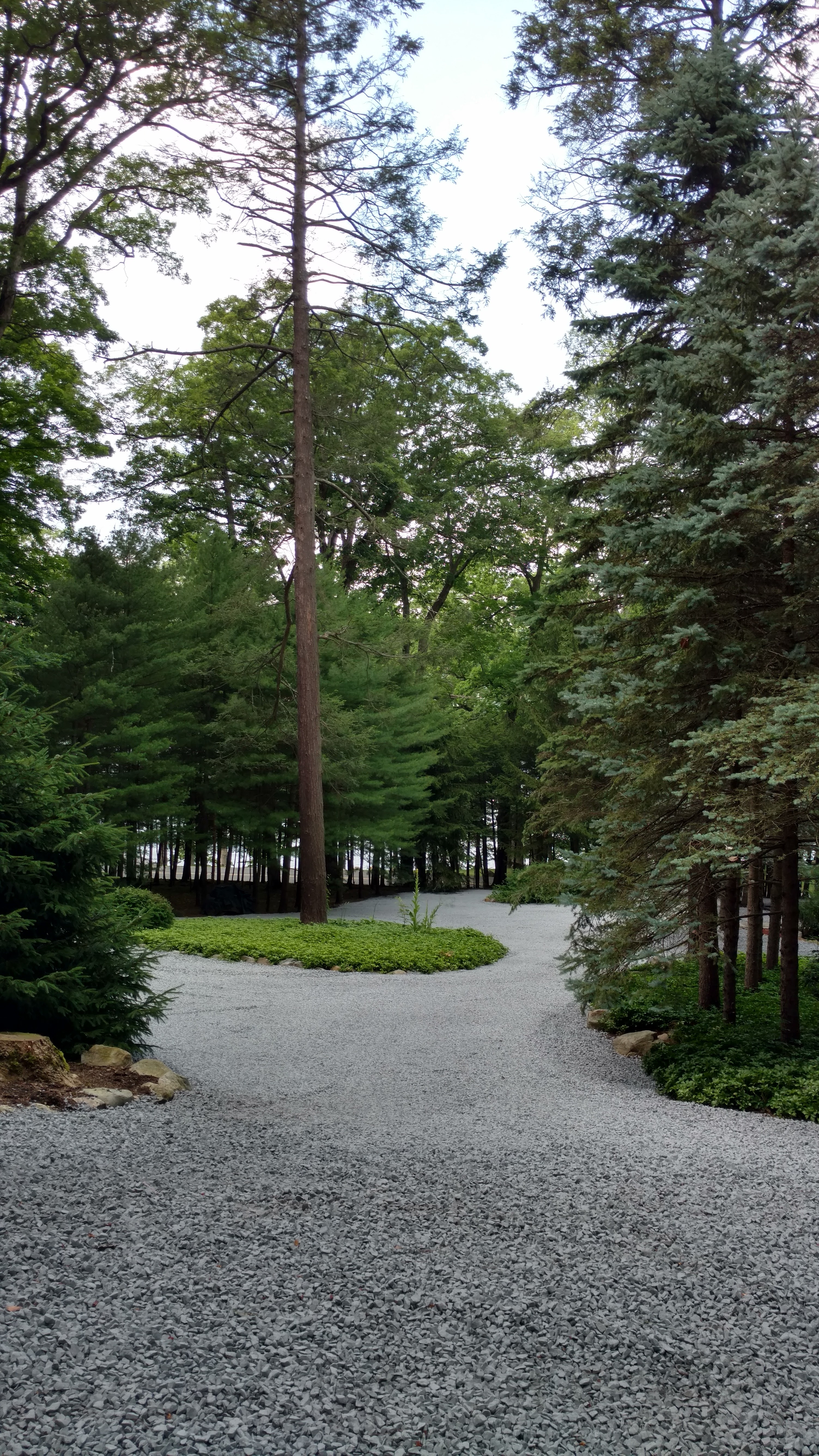 SealPro Asphalt Driveways project 21