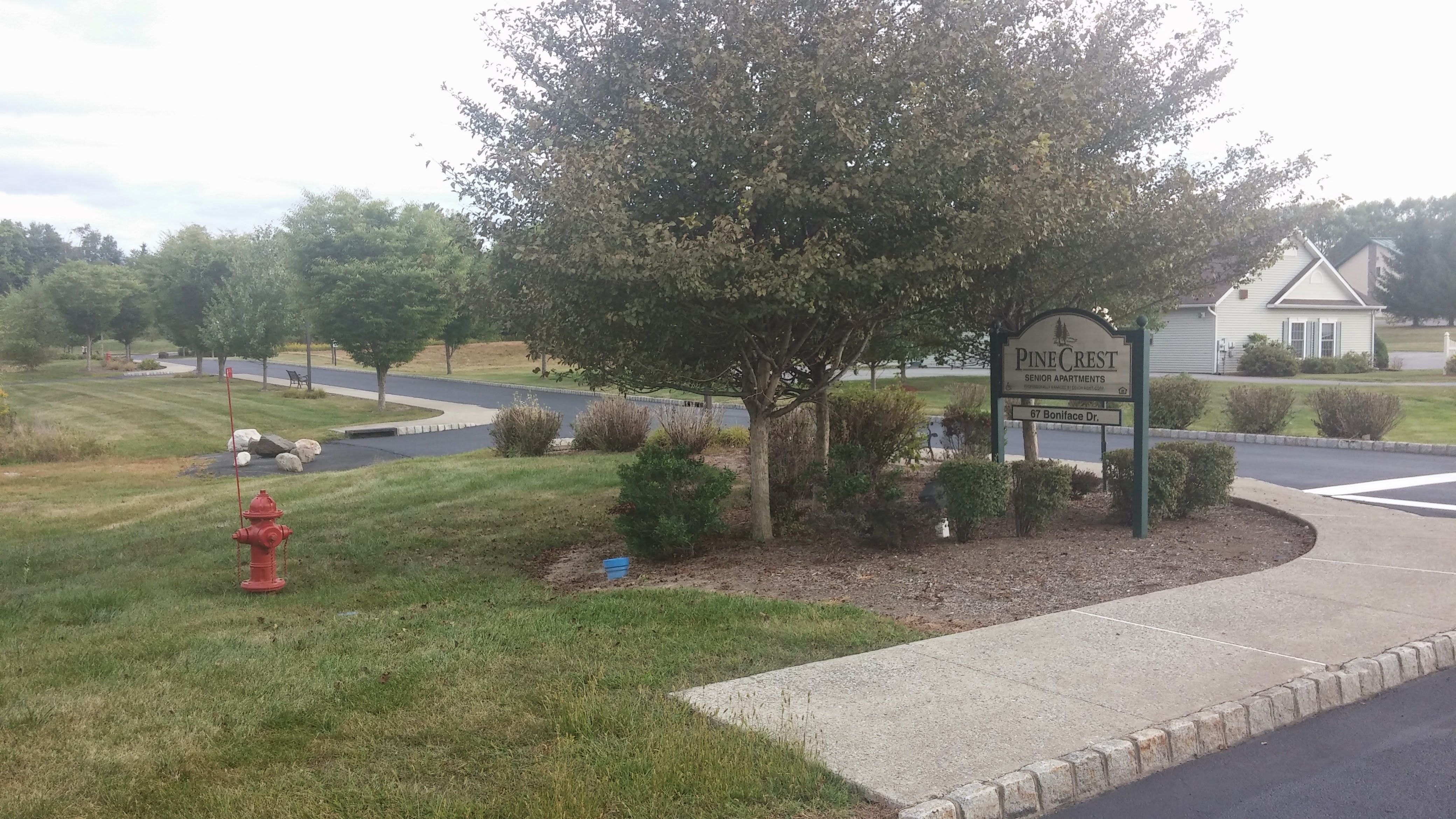 SealPro Asphalt Parking Lots project 13