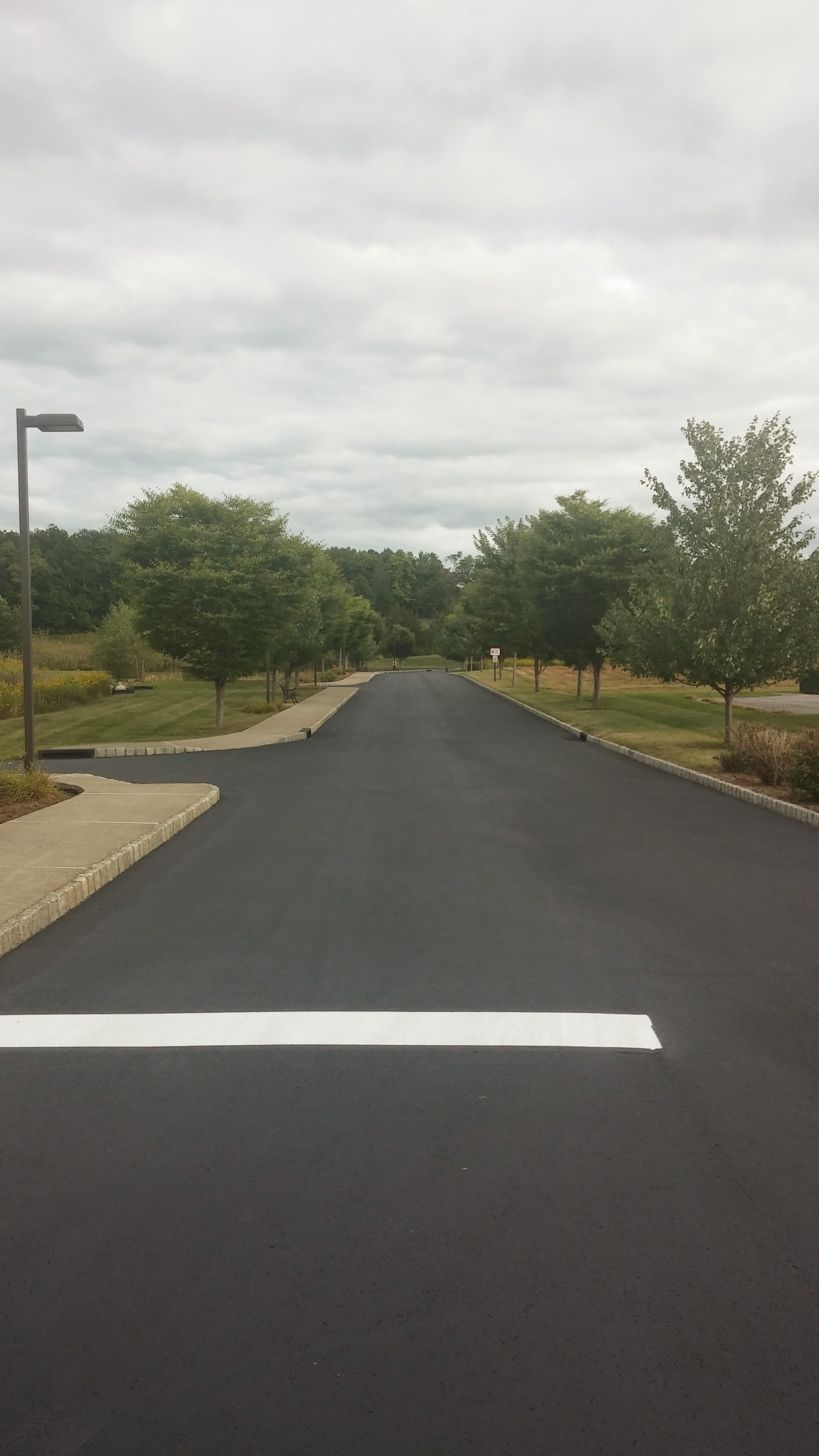 SealPro Asphalt Parking Lots project 14
