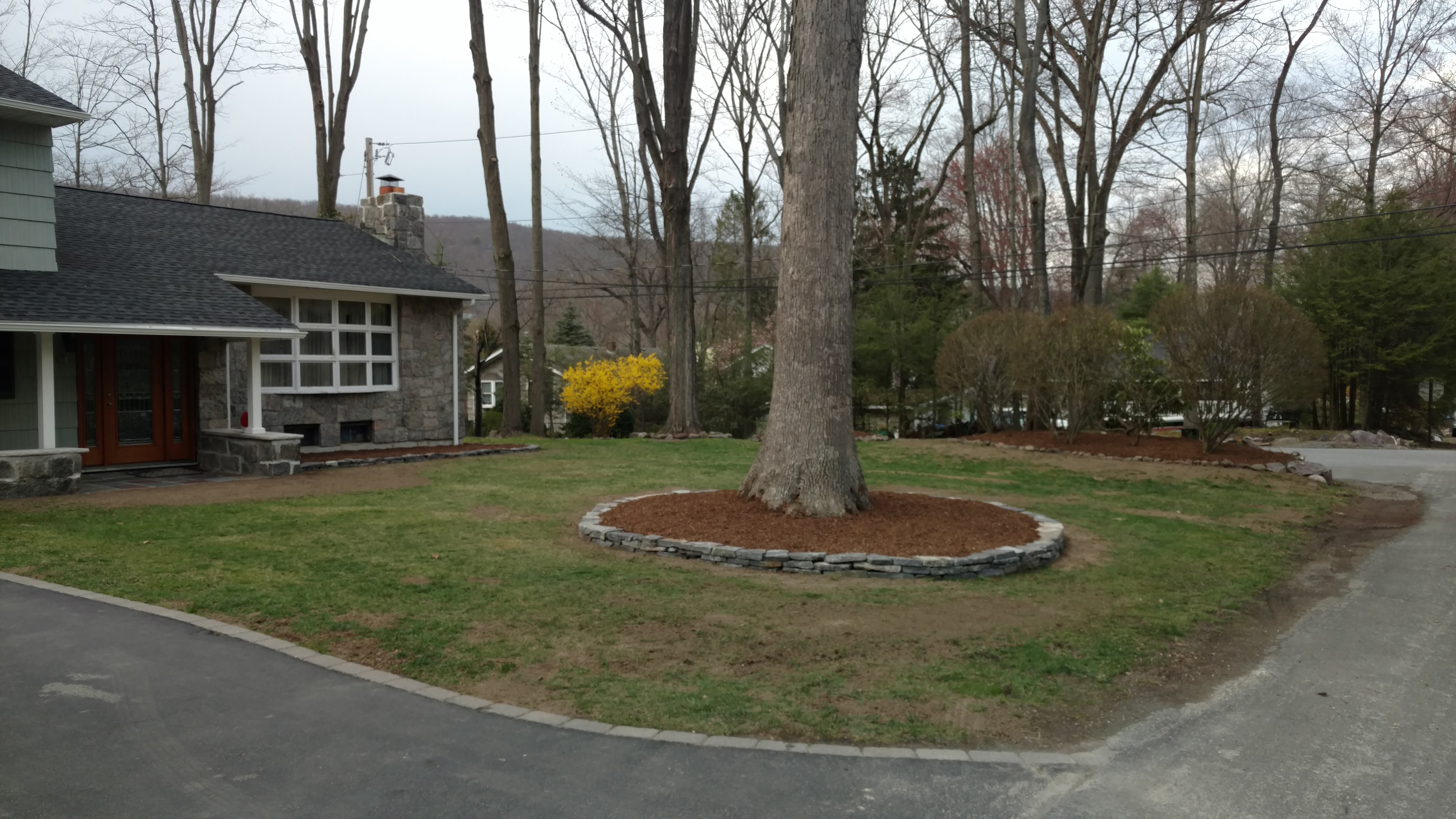 Landscaping & Backyard project 10