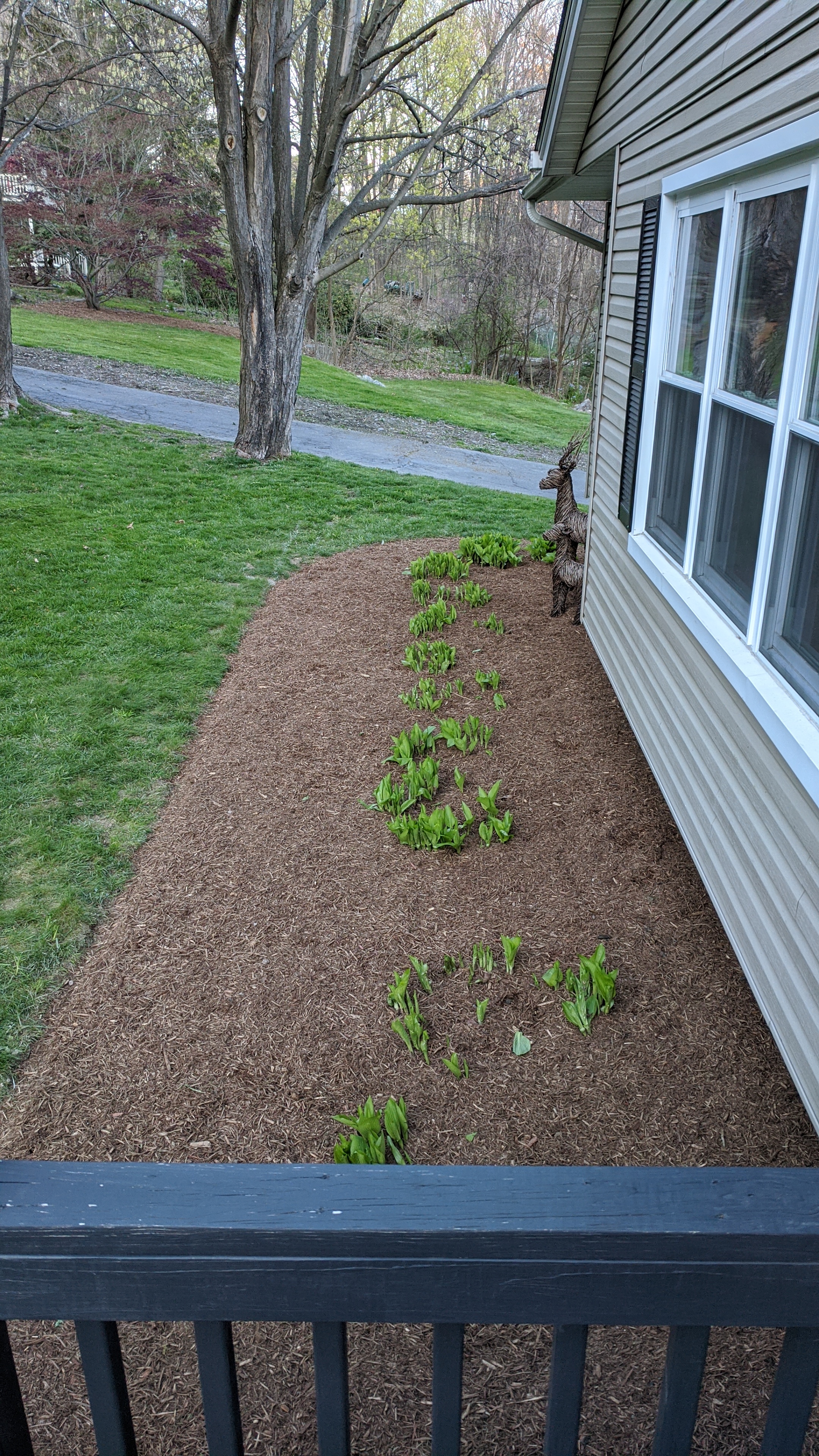 SealPro Landscaping & Backyard project 17