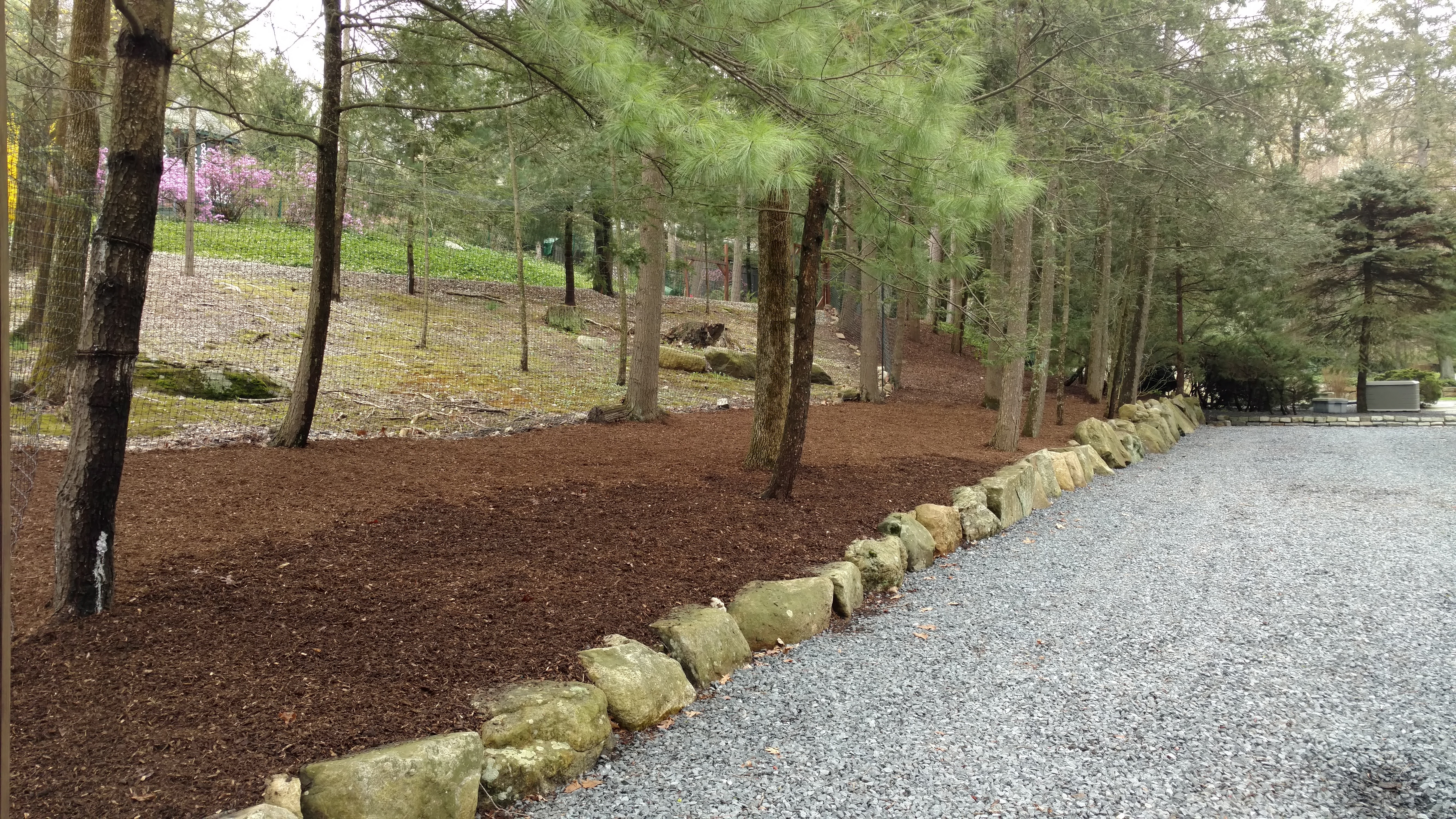 Landscaping & Backyard project 4